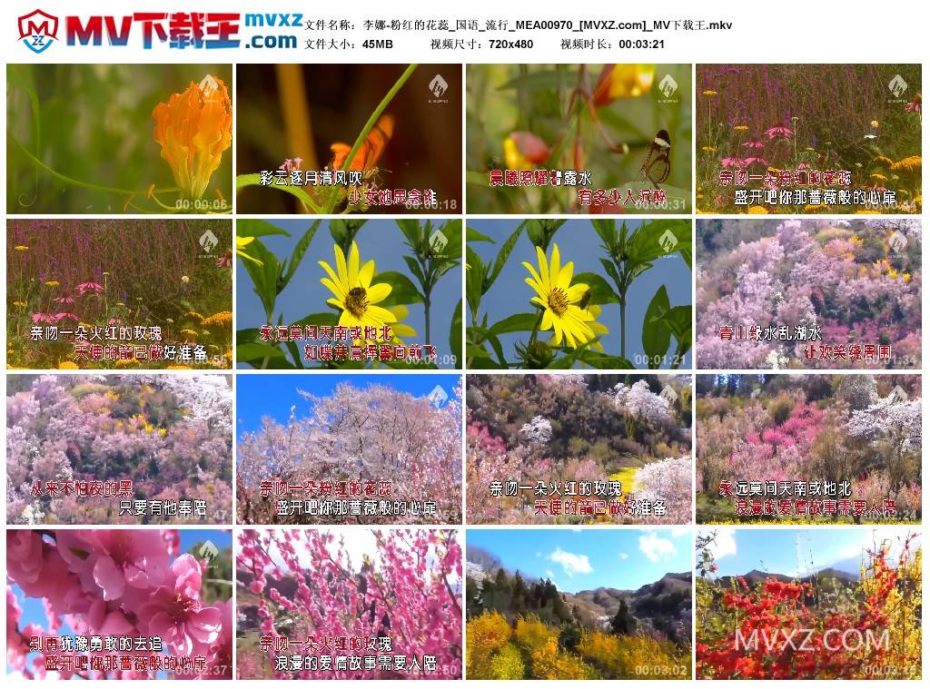 李娜-粉红的花蕊_国语_流行_MEA00970